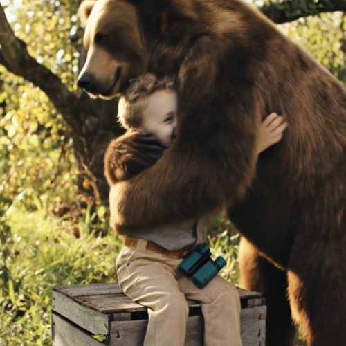 Abrazo de Oso Marrón